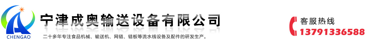 不锈钢链板输送机-网带输送机-烘干机厂家-食品清洗机-宁津成奥输送设备有限公司